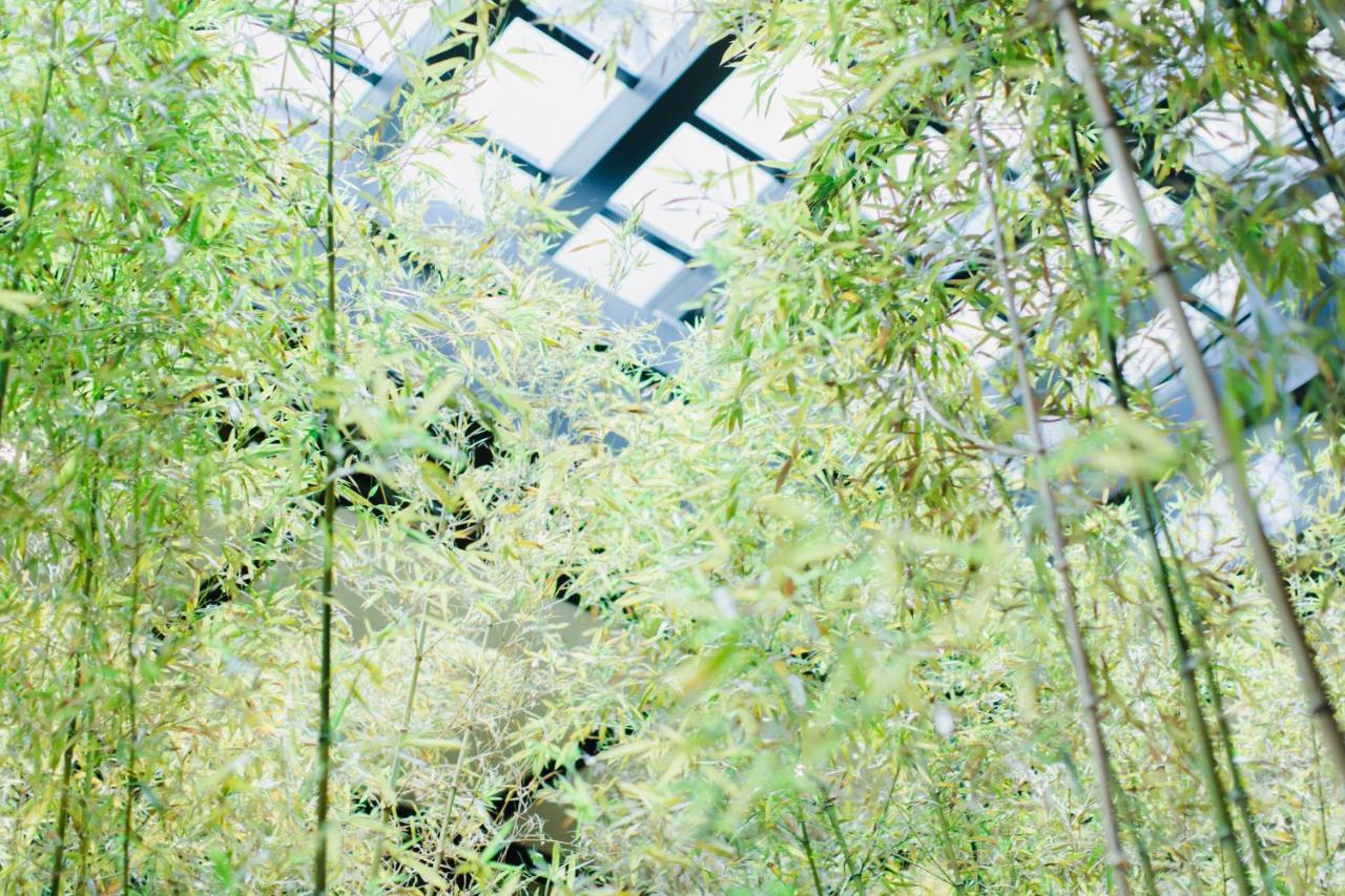 Готель Dhawa Yura Kyoto - Banyan Group Екстер'єр фото Bamboo forest
